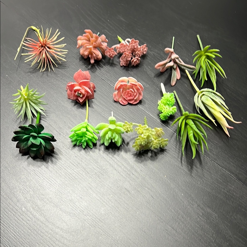 Assorted Artificial Succulent Plants set/15